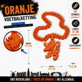 Old Skool Traditional Dutch Lion 🔥 | Oranje Voetbalketting